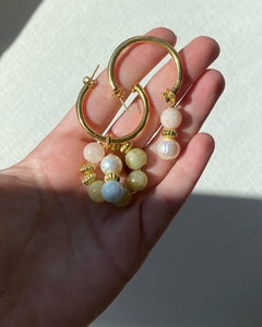Brinker Hoops