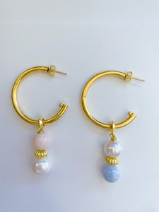Brinker Hoops